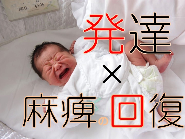 麻痺の回復過程と運動発達段階の関係 療法士活性化委員会