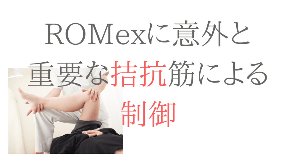 ROMexに意外と重要な筋による制御について考えたことありますか？