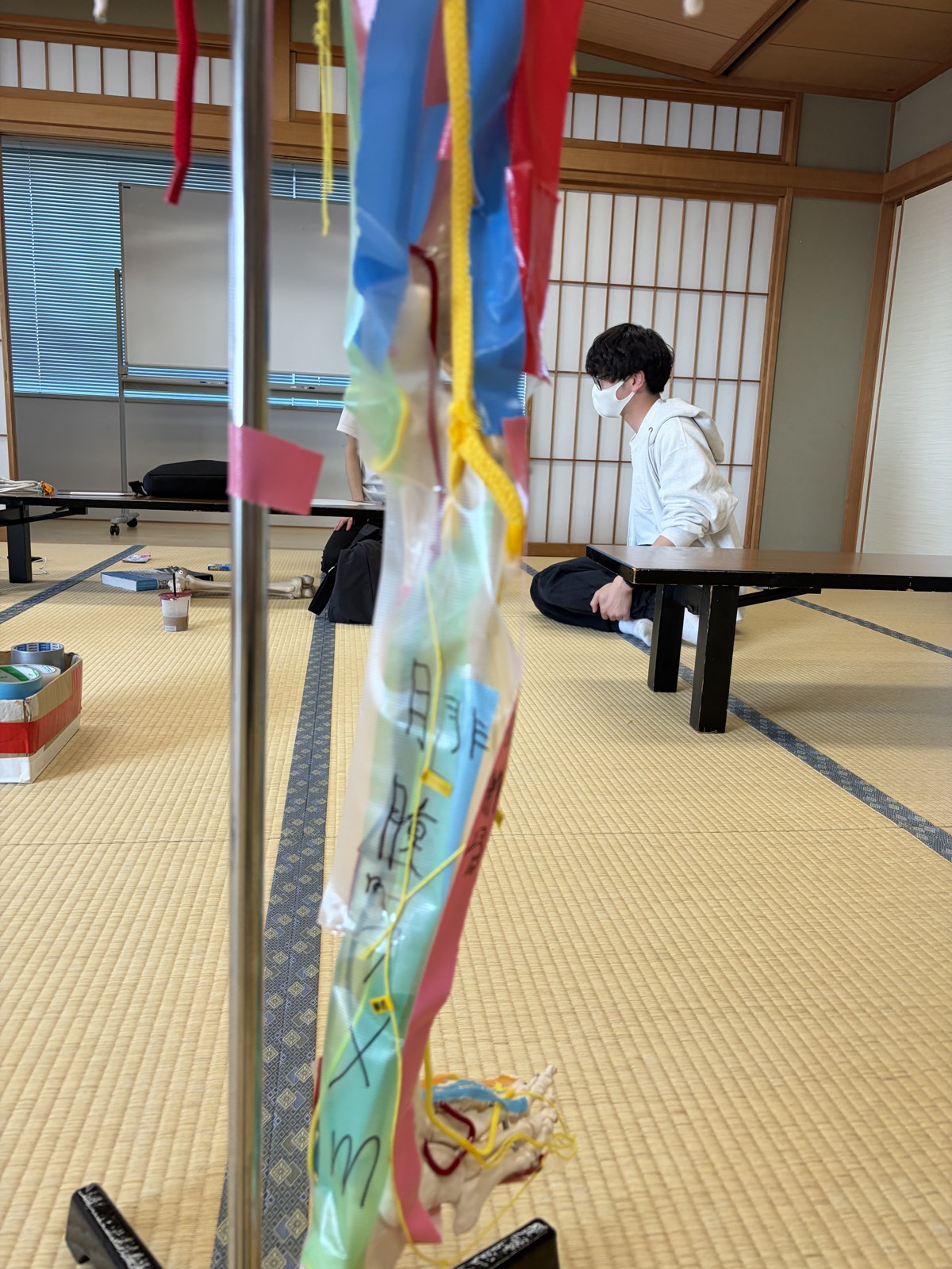 受講生が骨模型を囲んで筋を貼りながら学ぶ講習会の様子