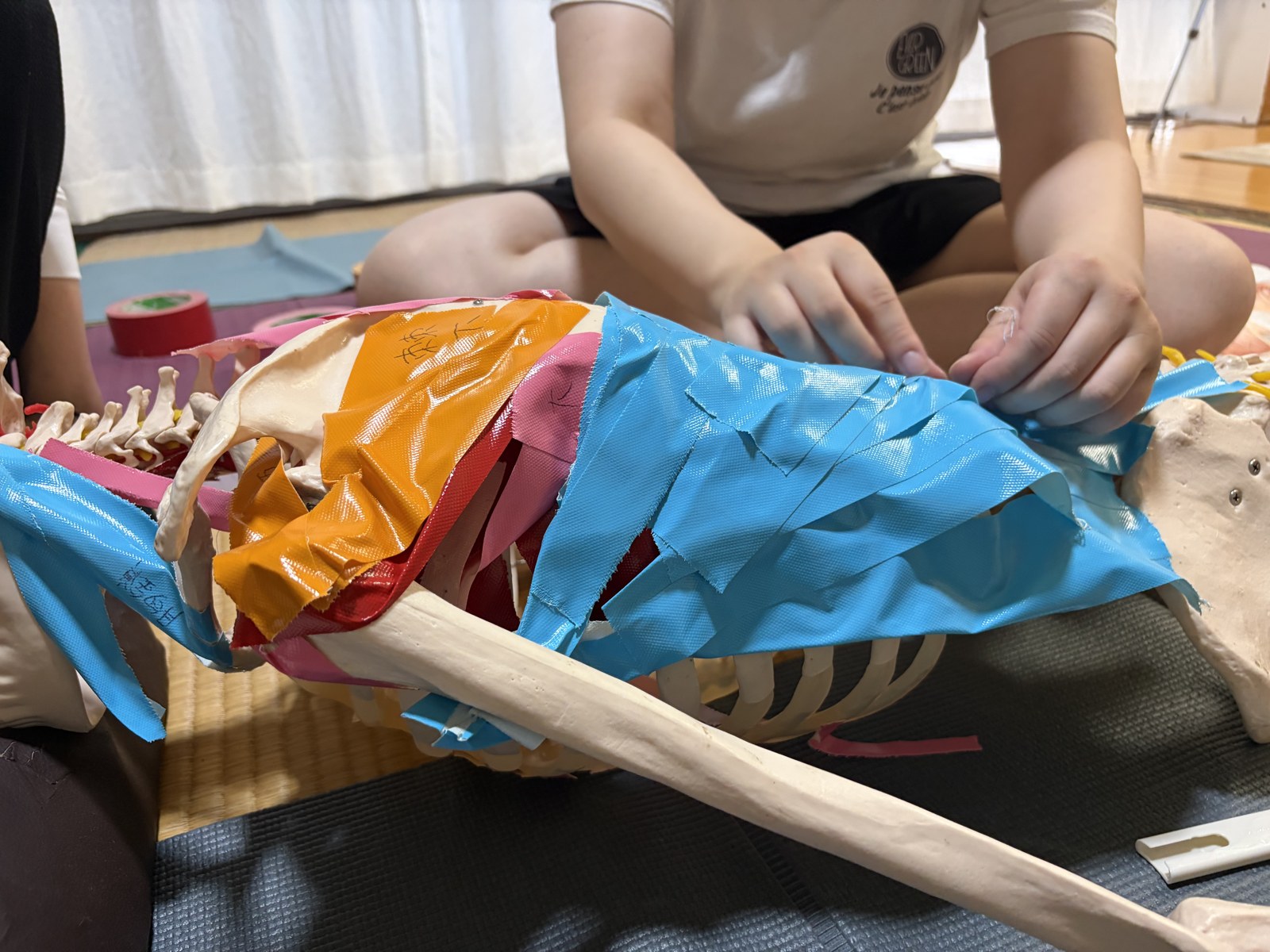 骨模型にカラーテープを貼って筋の走行を再現している手元